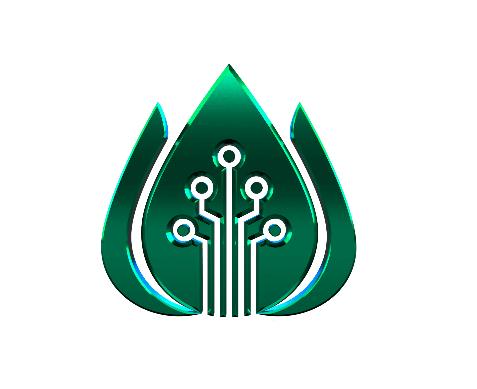 vườn ươm
